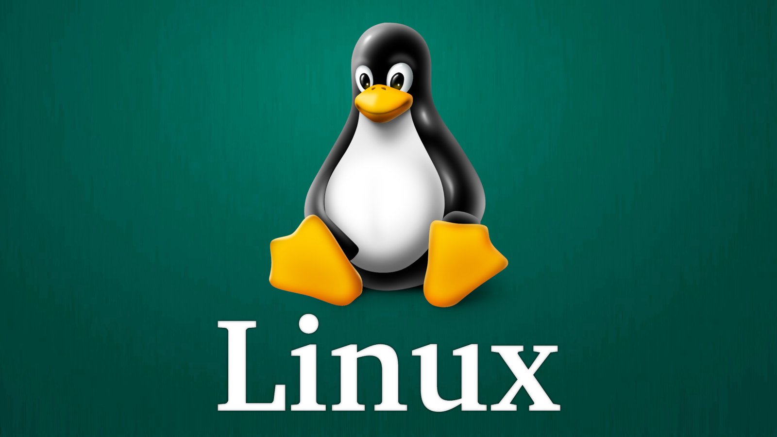 Linux 1 – Basic Linux Command
